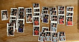 Panini Coca Cola Sticker 39x