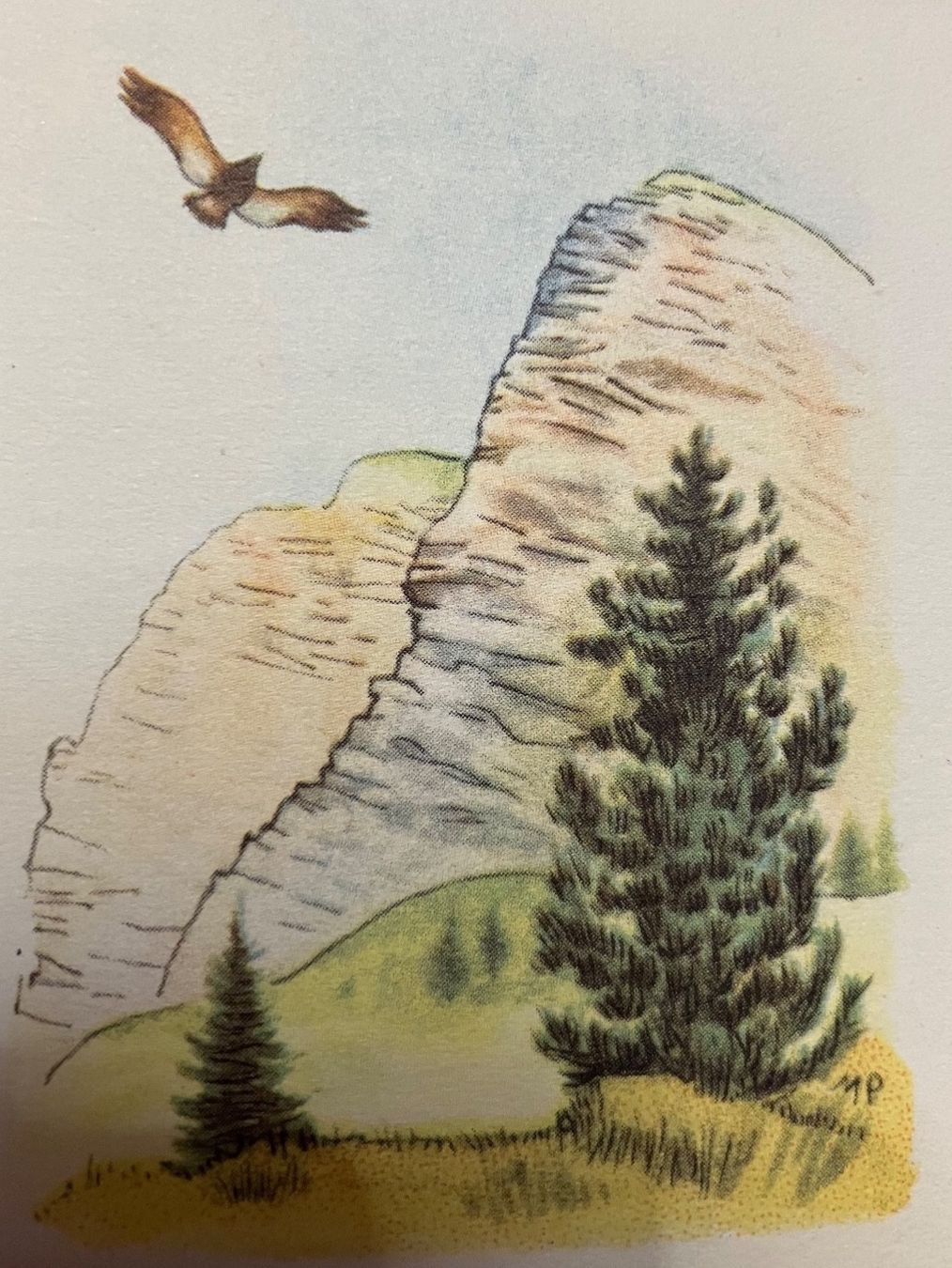 Bücher: Heidi Bücher 1944 und 1946  Silva – Gebraucht aus Bettwiesen von Zustand57 2