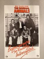 Promoplakat Animals (Plakat hat Falze)