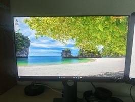 DELL P2319H Monitor + DisplayPort cable