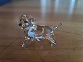 Swarovski Figur Golden Retriver Baby Originalverpackt 