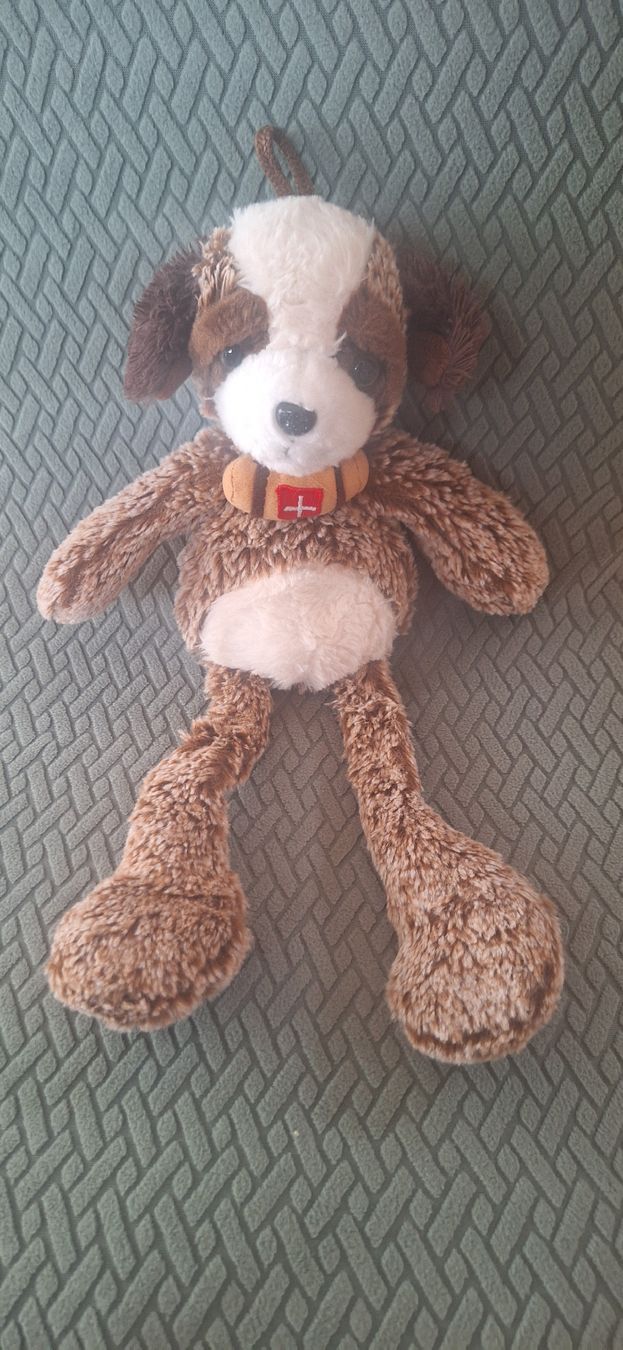 Giocattoli: Peluche St-Bernard – Nuovo (secondo la descrizione) da La Chaux-de-Fonds venduto da kellina