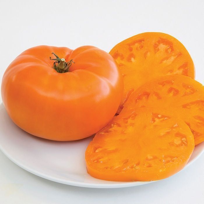 Piante & sementi: 30 Samen AMANA ORANGE Tomate – Nuovo (secondo la descrizione) da Ehrendingen venduto da VerveinaSamen 4