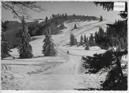 Tanzbodenabfahrt im Winter