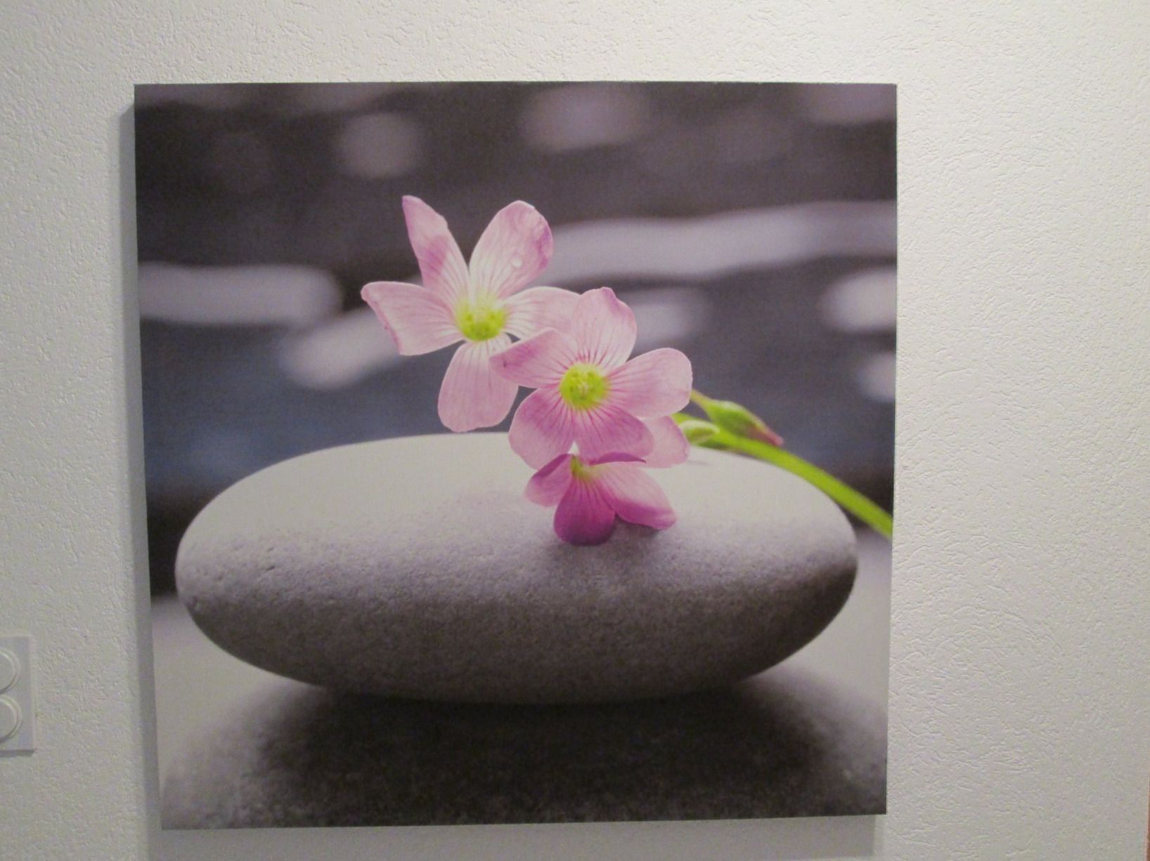 Posters & Illustrations: 2 Stk. - Bild  Orchidee und Rose – D'occasion à Movelier par KRASI61