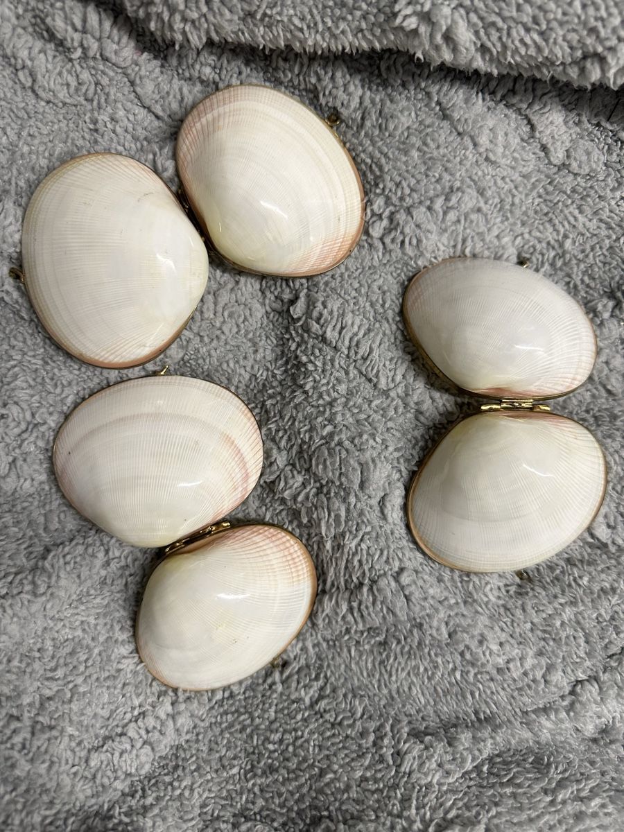 Tutte le decorazioni: Antike Pillendose Muscheln  – Usato da Oberentfelden venduto da vilibrand 4