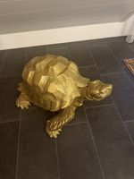 Kare Goldene Schildkröte Ein Blickfang für Ihr Zuhause