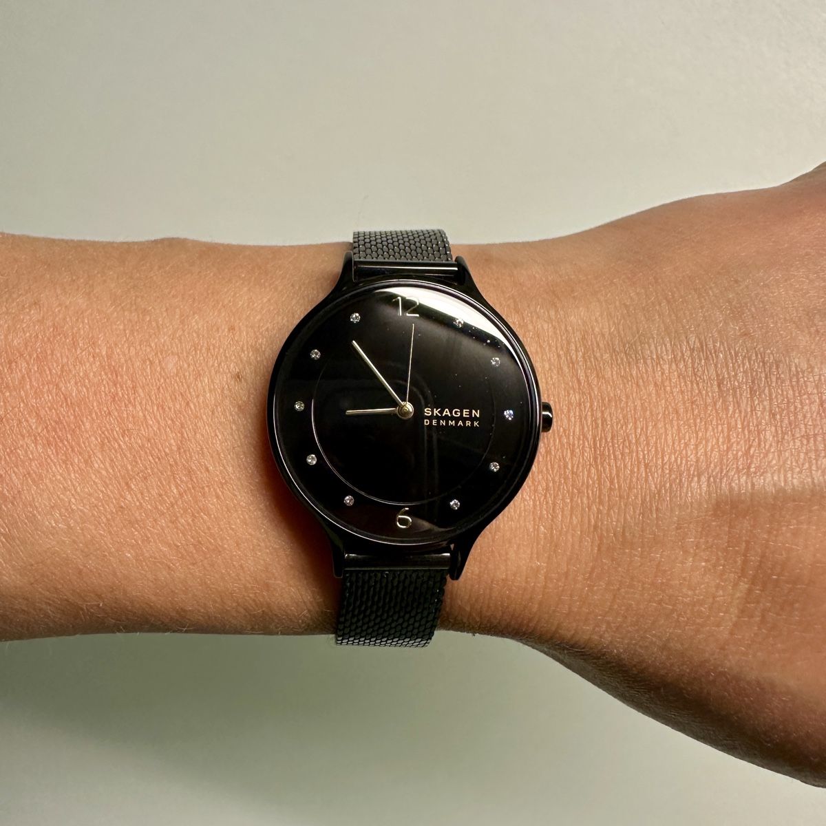 Skagen Orologi: Armbanduhr Skagen – Usato da Langnau venduto da yo_ja