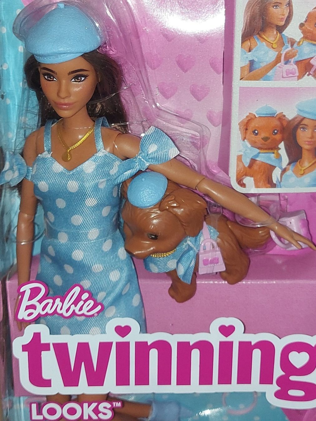 Puppen: Barbie "Twinning Looks",2025,Neuve – Neu und originalverpackt aus Ecublens VD von Magic_Island 4
