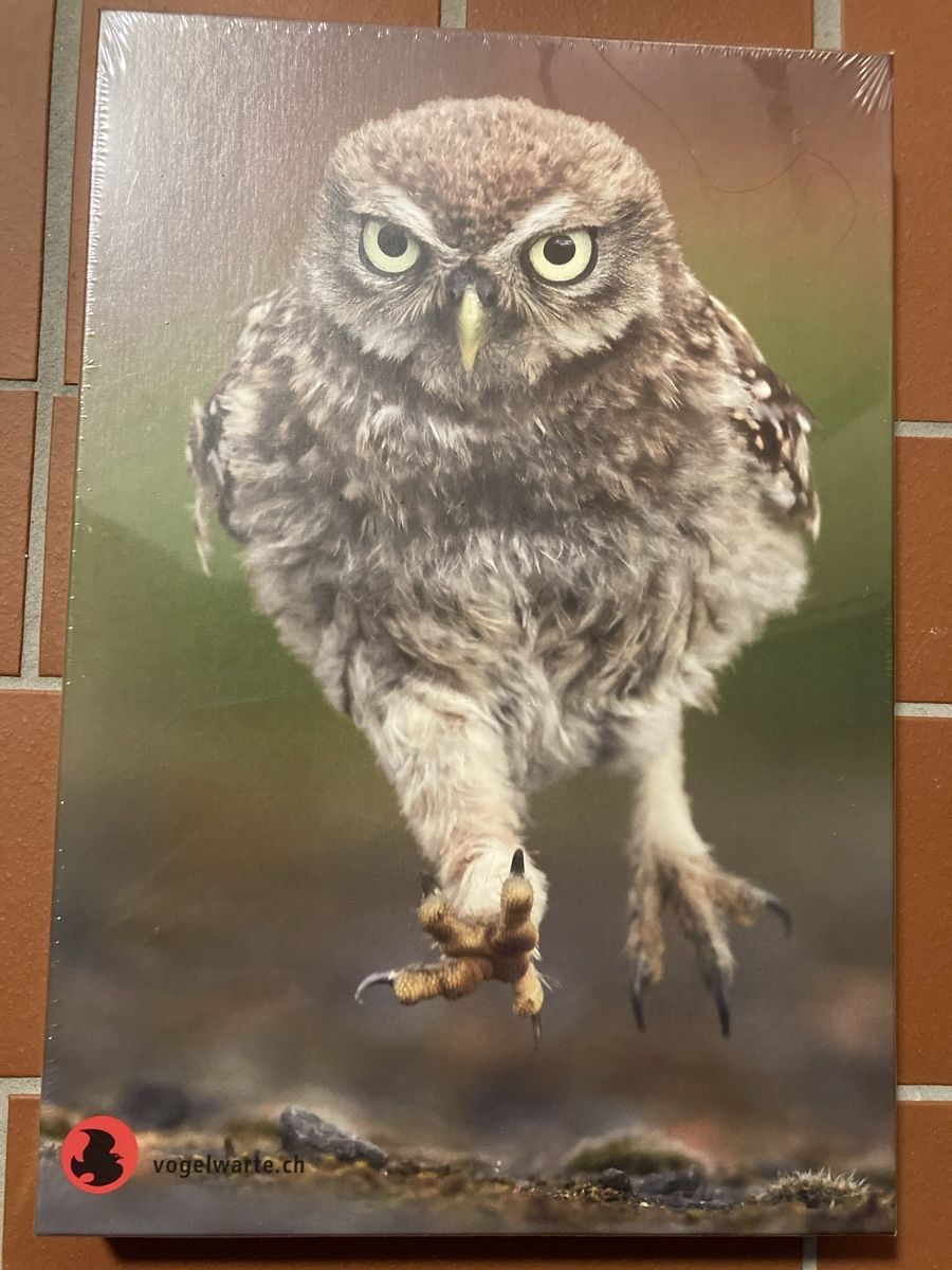 Puzzle: Steinkauz Puzzle der Vogelwarte – Nuovo e nell'imballaggio originale da Winterthur venduto da Whitefish