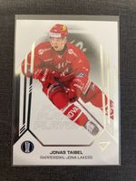 Sportzoo Jonas Taibel Rapperswil-Jona Lakers Playoffs 2025