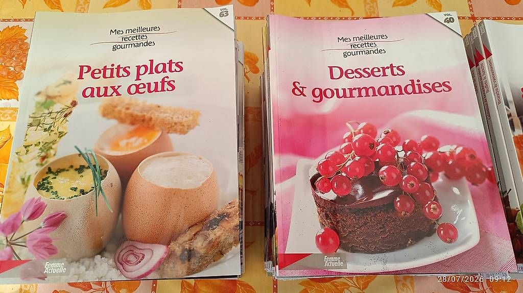 Libri: Mes meilleures recettes gourmandes  – Usato da Ecublens VD venduto da Tompouce69 1