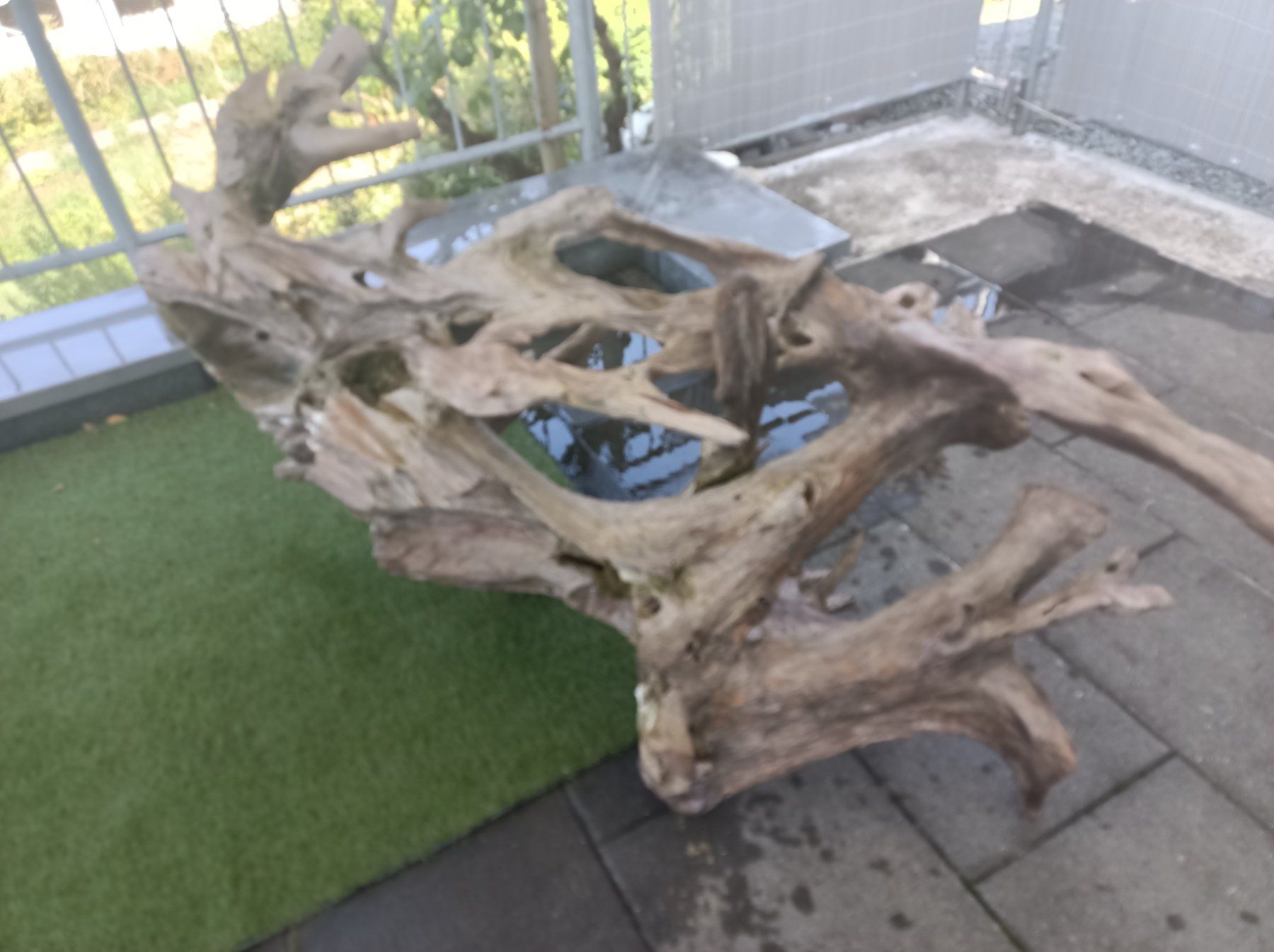 Holzartikel: Aquarium oder Terrarium Wurzel XXL – Gebraucht aus Mettmenstetten von Motoro66 4