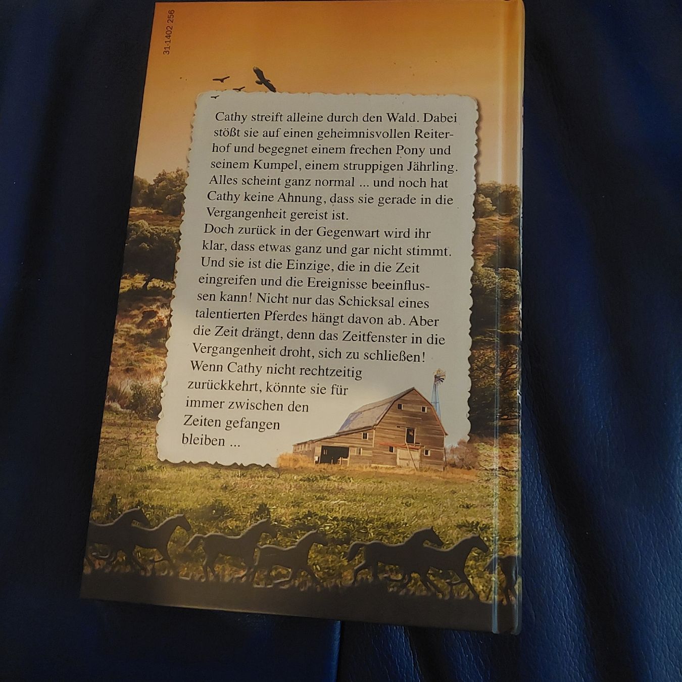 Livres: Buch Pferd Gestern heute morgen  – D'occasion à Belp par masterdriftking 1