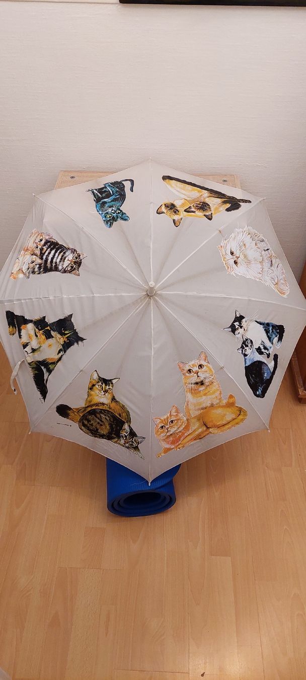 Ombrelli: Regenschirm mit Holzgriff und Katzenmotiven – Usato da Winterthur venduto da Catpaw
