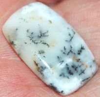 Cabochon L-646 – Dendriten Opal - 22x25mm