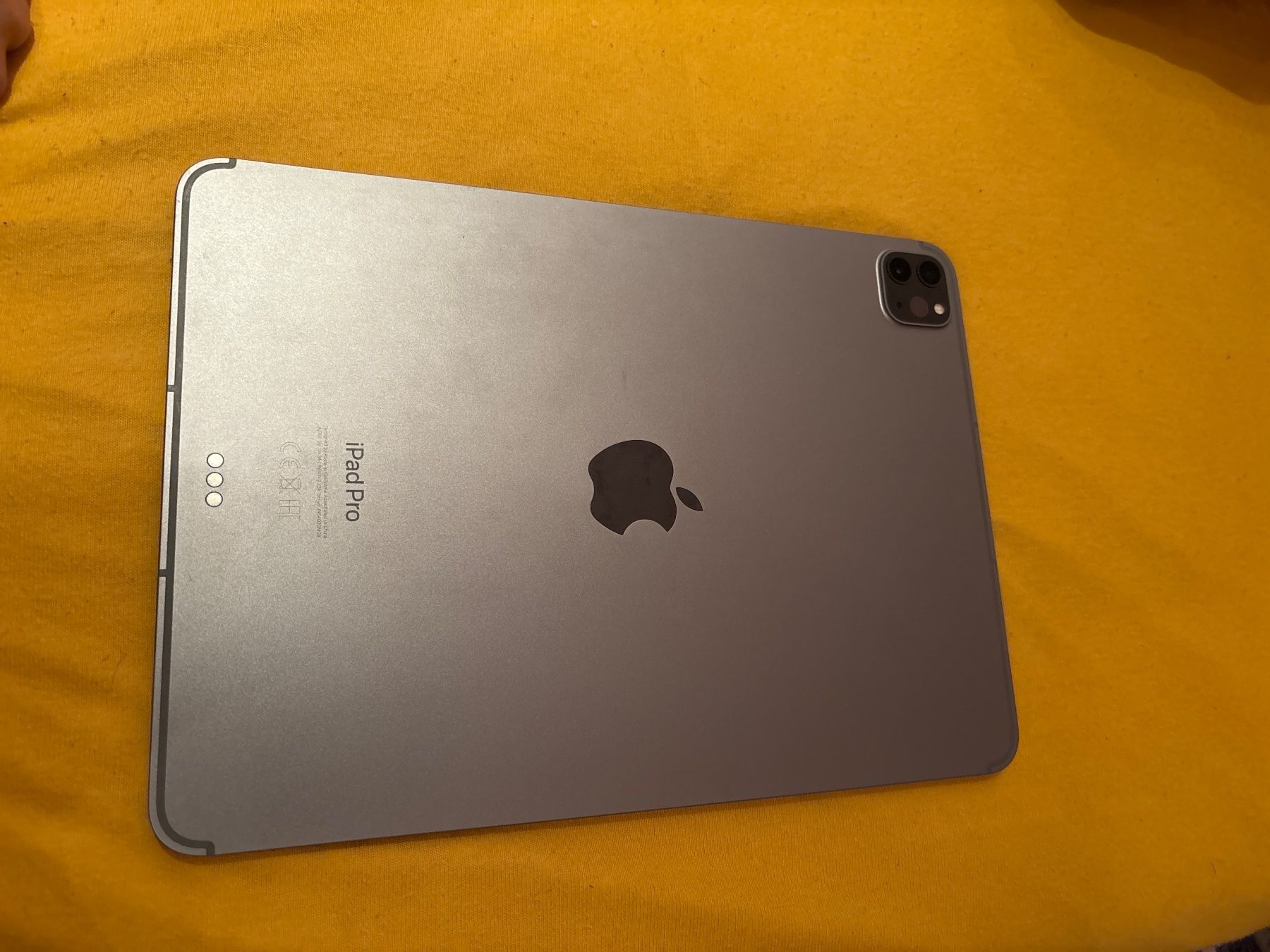 Apple Tablet PC: Apple Ipad Pro 11” 2022 5G – Usato da Rüti ZH venduto da gia_j7cn