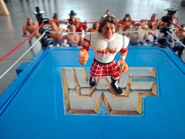WWF Hasbro Rowdy Roddy Piper Serie2 Vintage Wrestling Figure