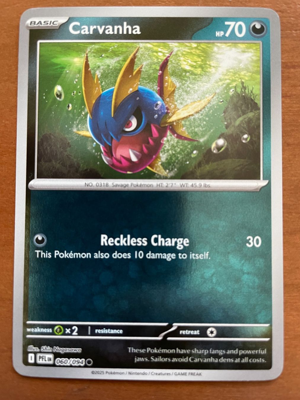 Pokémon Carte collezionabili: Pokemon Carvanha Reverse (Versand gratis) – Nuovo (secondo la descrizione) da Chur venduto da Angerson