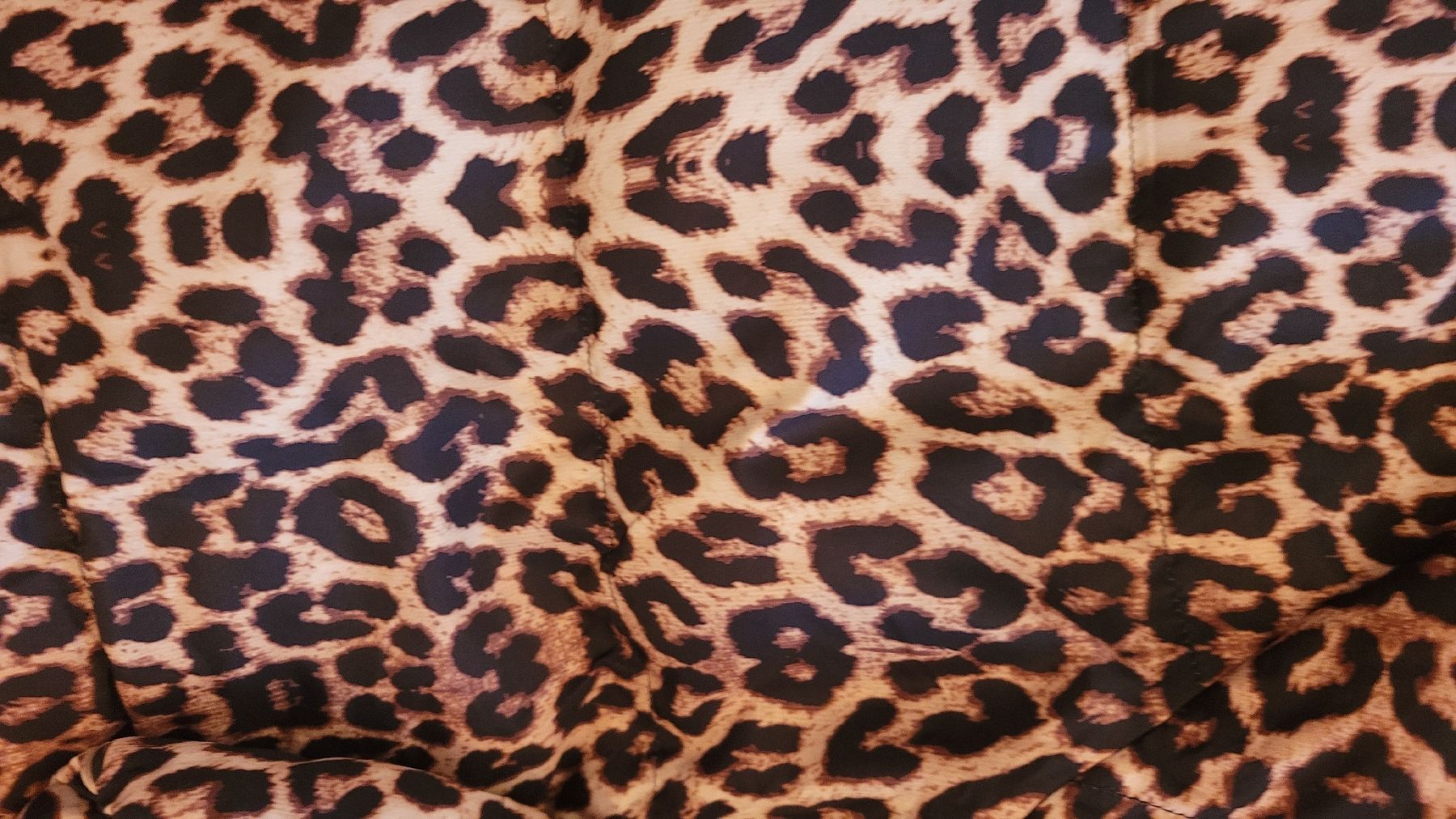 Vestes: Veste doudoune reversible leopard  – Neuf (Voir description) à Echallens par frimousse2008 2