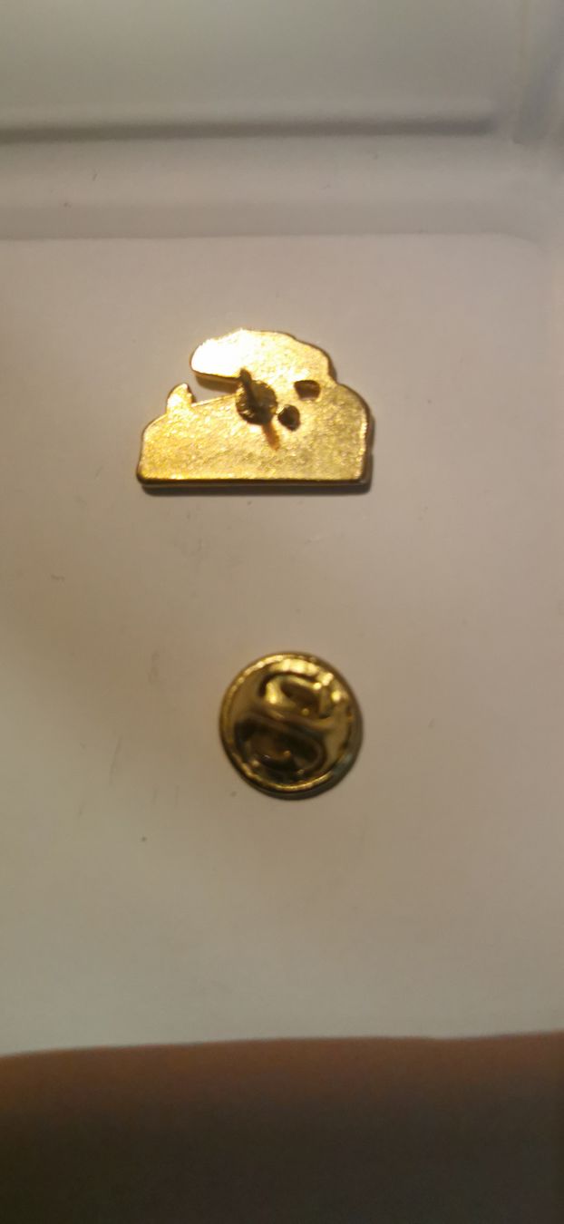 Placchette & Badge: Pin SlotMania – Usato da Genève venduto da vins50 1