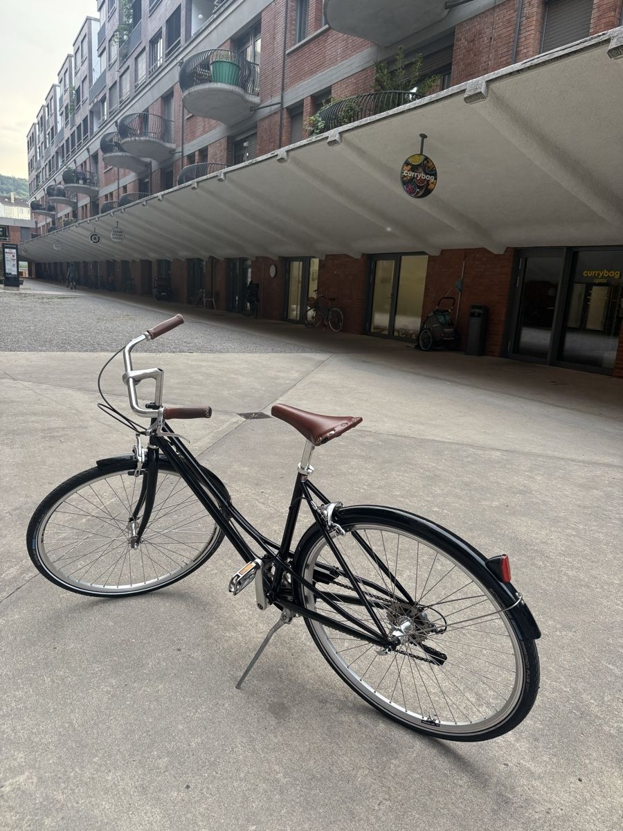 Velos: Damen Retro Citybike – Gebraucht aus Zürich von ChickenNuget