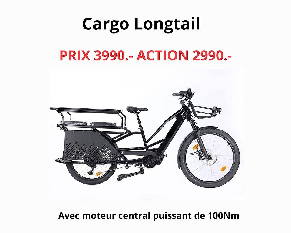 Biciclette: Cargo électrique neuf 3990.- Action 2690.- – Usato da meyrin venduto da ebehar