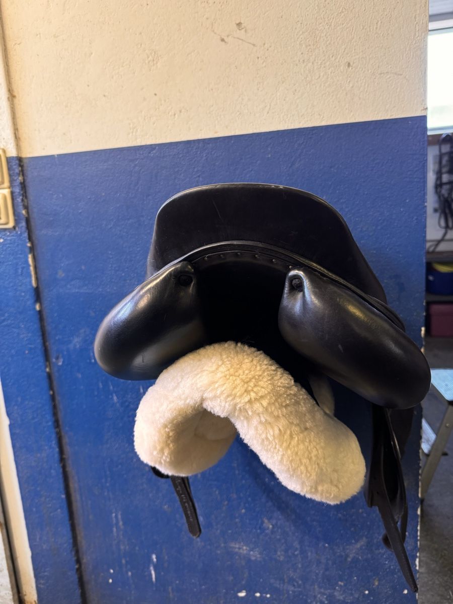 Selle & Accessori: Meyer Sattel 18.5 – Usato da Regensdorf venduto da mery26 3