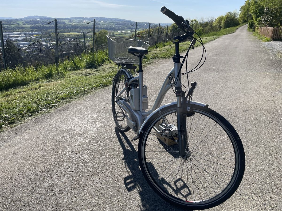 Flyer Biciclette: Fahrrad Flyer T8 Premium – Usato da Weinfelden venduto da LaurenzB 2
