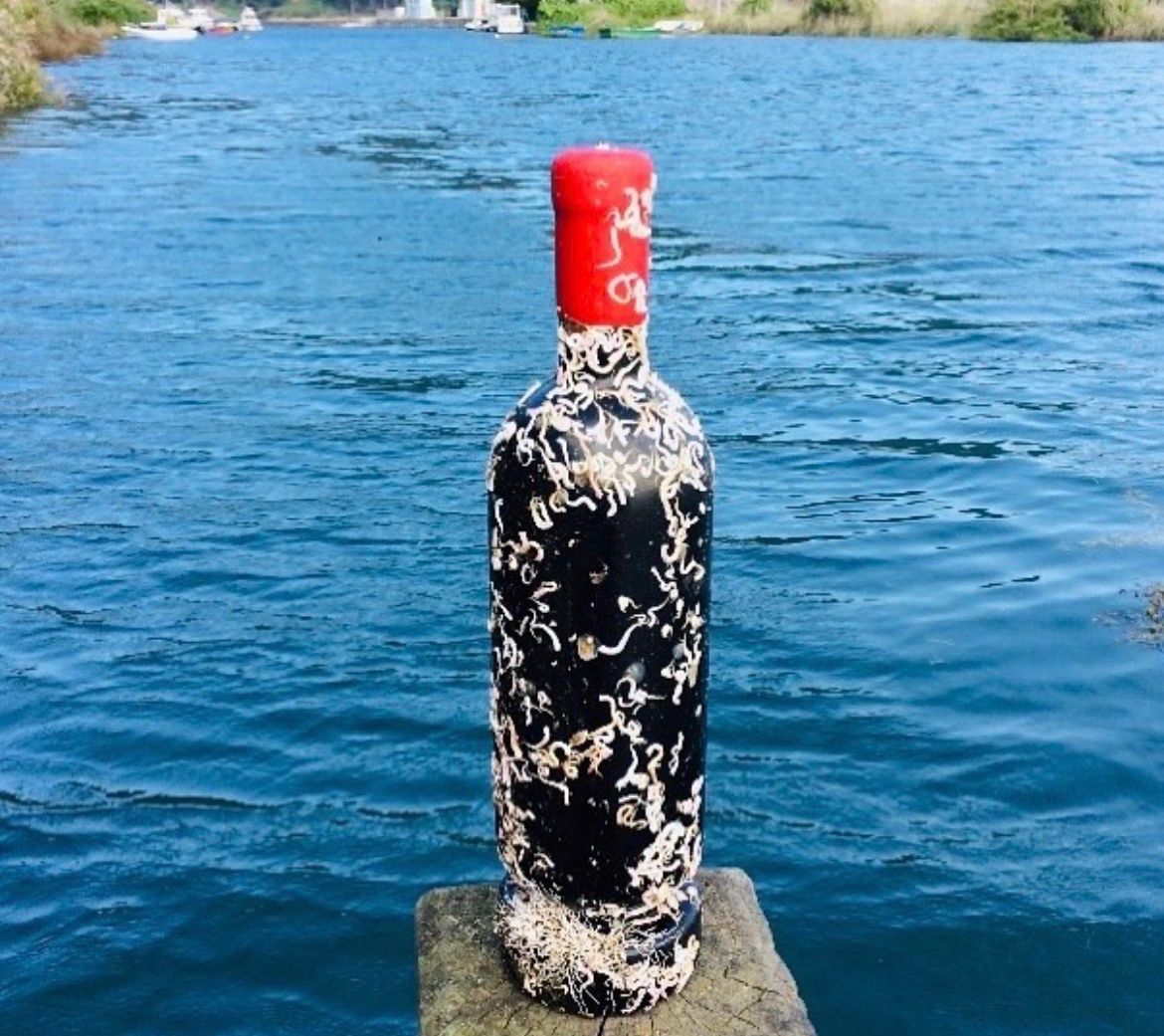 Vino: Marevinum – Nuovo e nell'imballaggio originale da St-Prex venduto da Galdieg 1