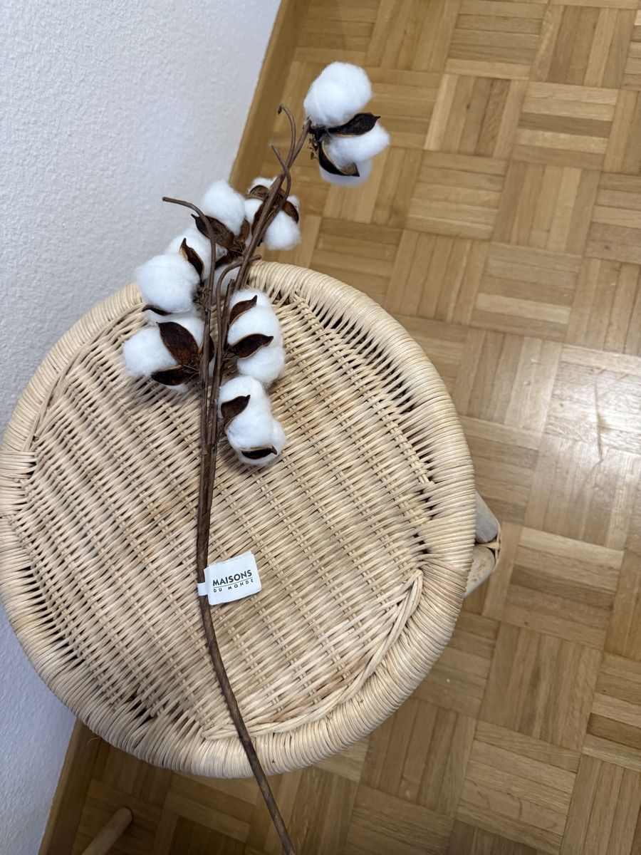 Tutte le decorazioni: Diverse Trockenblumen / Baumwolle etc... – Nuovo (secondo la descrizione) da Winterthur venduto da fij_f65r 2