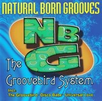 Natural Born Grooves The Groovebird System