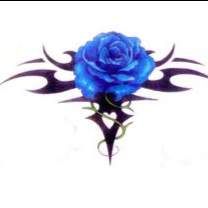 Profile image of udry65