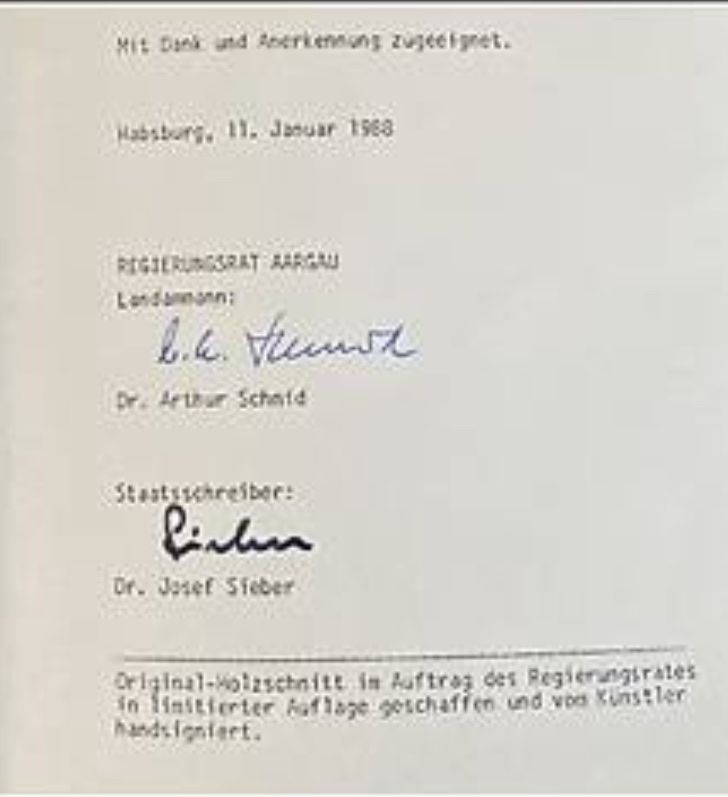 Xilografie: Holzschnitt Schloss Habsburg – Usato da Dallenwil venduto da ercrah 2