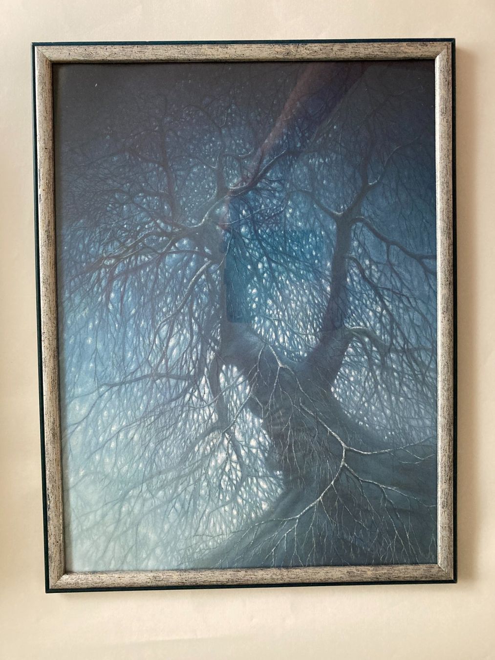 Foto & Immagini: FRIEDRICH  HECHELMANN   Kunstdruck  BAUM  Holzrahmen  / Glas – Usato da Subingen venduto da ArtBead 5