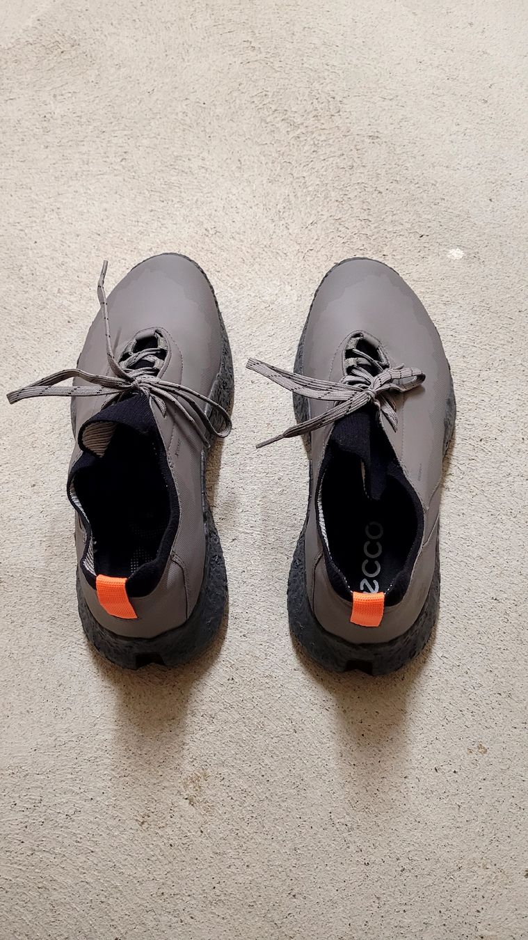 Ecco Scarpe da uomo: Golfschuhe ecco Herren Golf Biom H5, anthrazit – Nuovo e nell'imballaggio originale da Zürich venduto da Tiptec 1