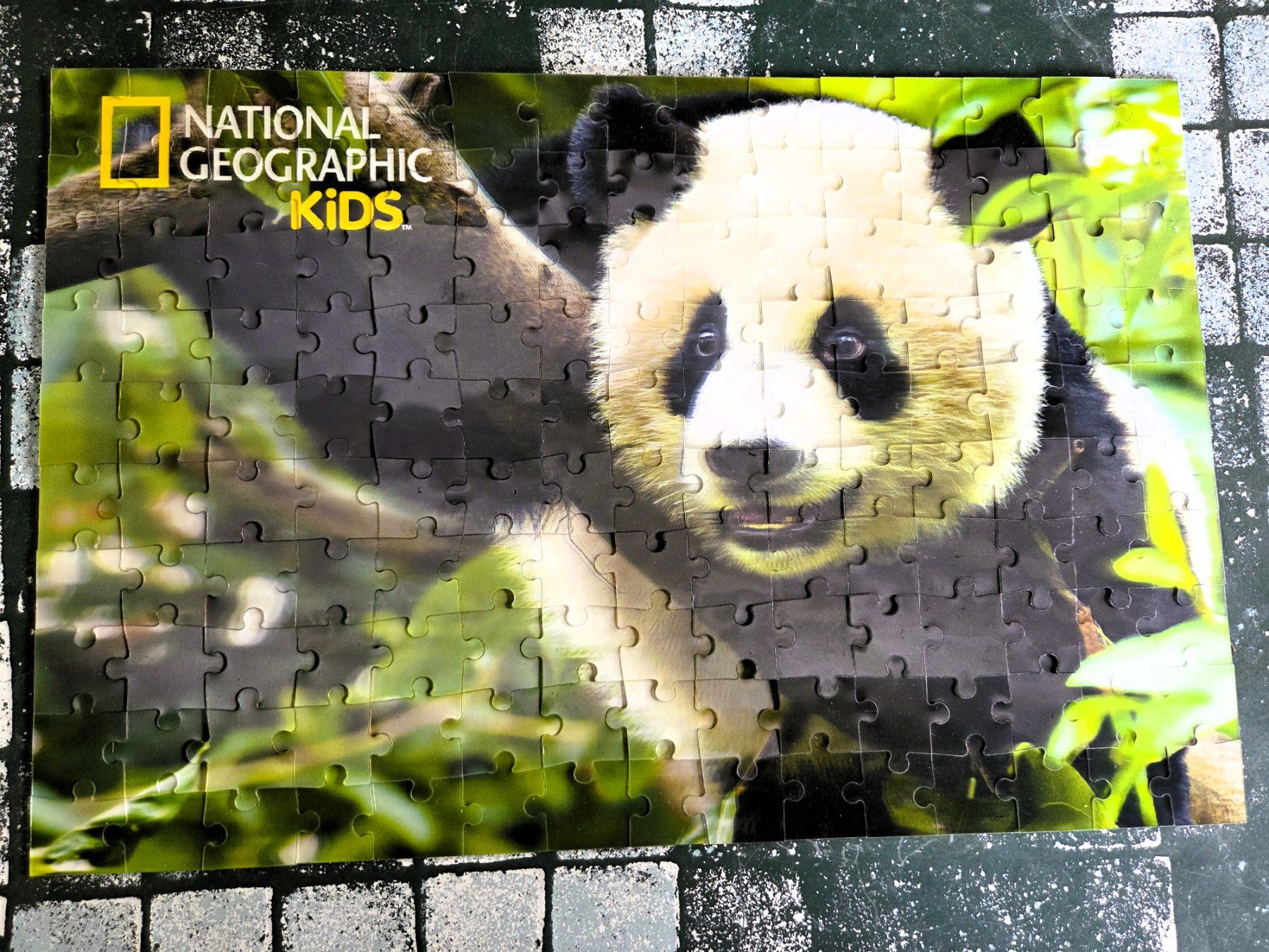 Puzzles: PANDA PUZZLE 3D / 150 TEILE – Gebraucht aus Brüttisellen von Nighttrain