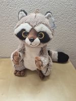 Plüschtier Waschbär /Raccoon