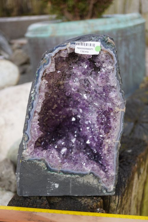 Amethyst   Druse   7.5kg     25cm x 15cm  Traumstück 8