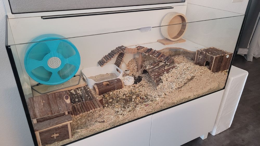 Photo inspiration: Hamsterkäfig Aquarium 120X50X50 Inkl Unterschrank Gebraucht In Photo Inspiration