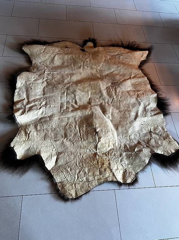 Tutte le decorazioni: Bisonfell – Usato da Rüschegg Heubach venduto da ninavui 2