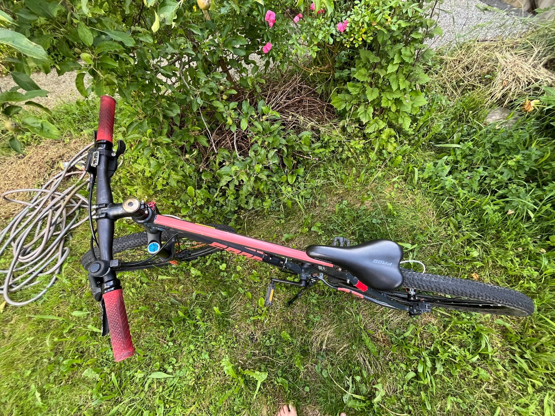 Velos: Kindervelo FROG in rot,  Kinderfahrrad 26 Zoll – Gebraucht aus Matzingen von Katyusha 1