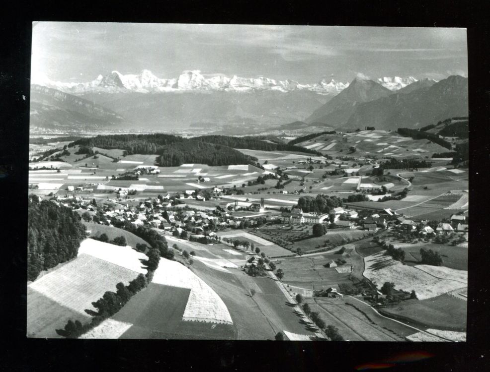 Riggisberg Kaufen auf Ricardo