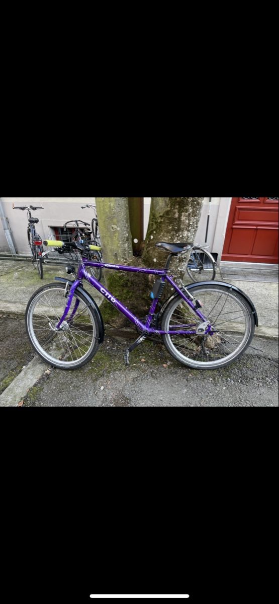Cilo Biciclette: Velo Cilo – Usato da Luzern venduto da JVS