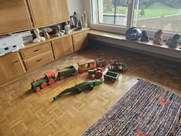 Holzspielzeug Set Zug Traktor Krokodil 