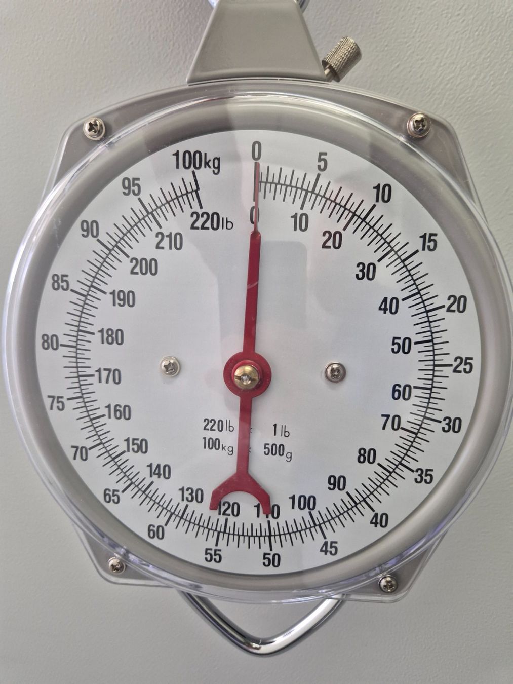 Bilance e pesi: Hängewaage 100 kg, Vintage Look – Usato da Domat Ems venduto da tchnesa