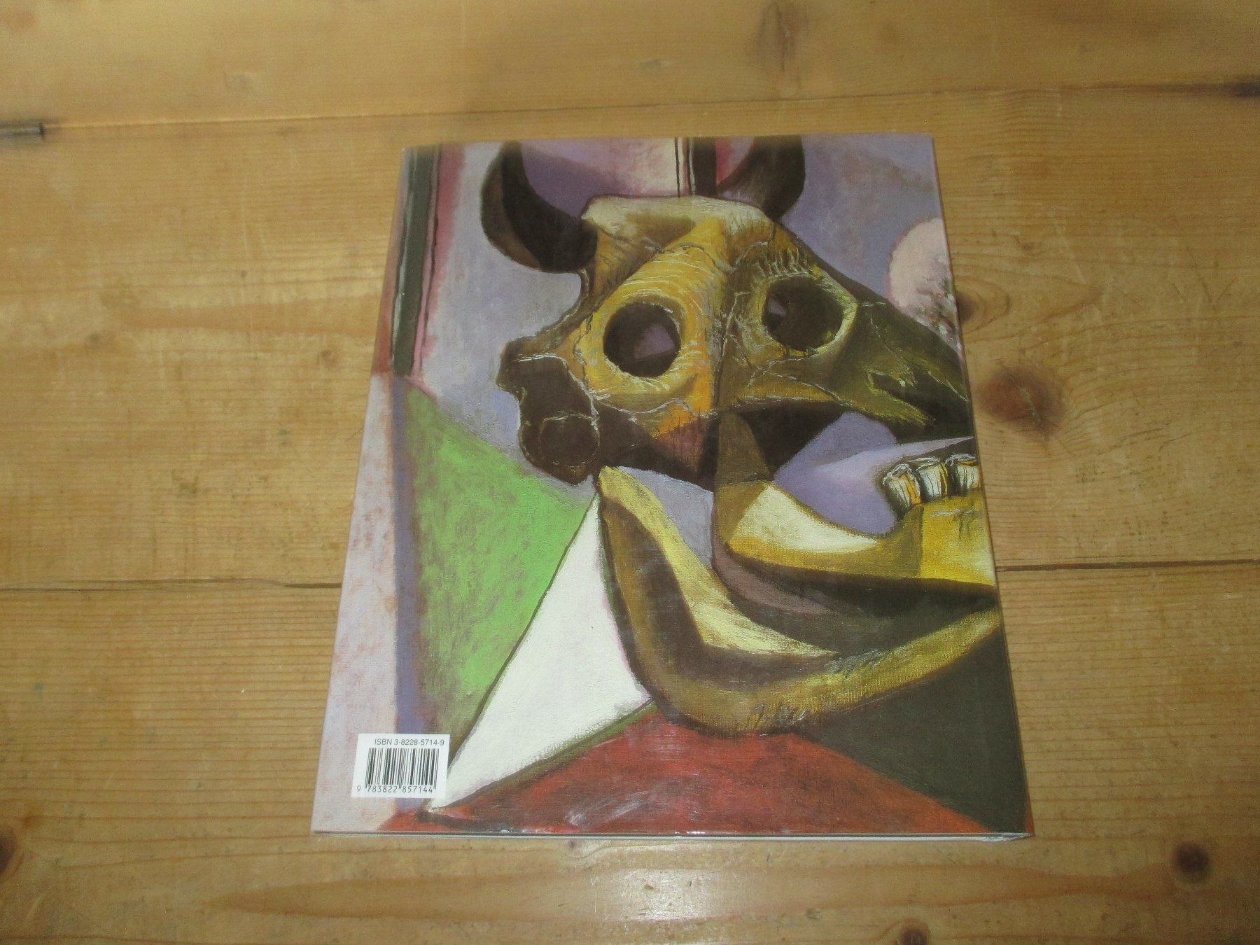 Livres: Picasso – D'occasion à Flims - Dorf par Stagediver 6