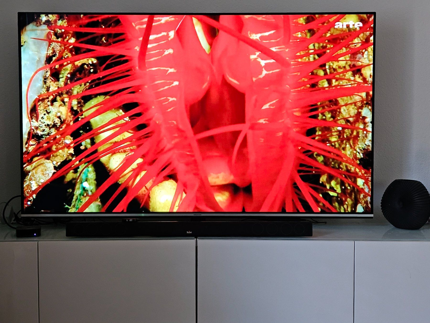 Fernseher: OLED Smart TV – Gebraucht aus Romanshorn von udo_ytq5 4