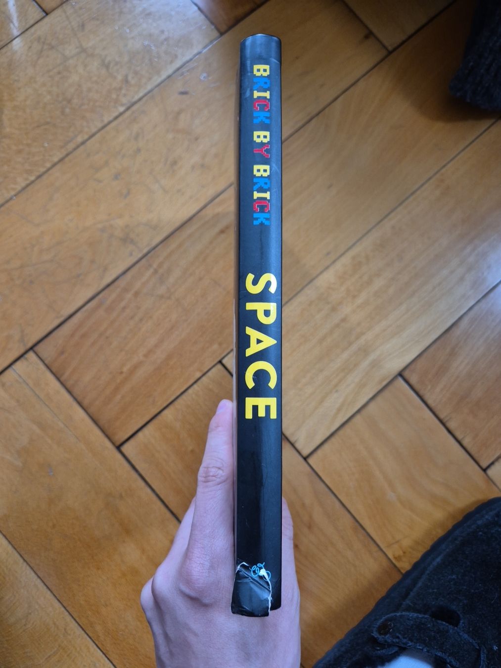 Libri: LEGO Space Buch "Brick by Brick" – Usato da Nürensdorf venduto da luc_9ksf 1