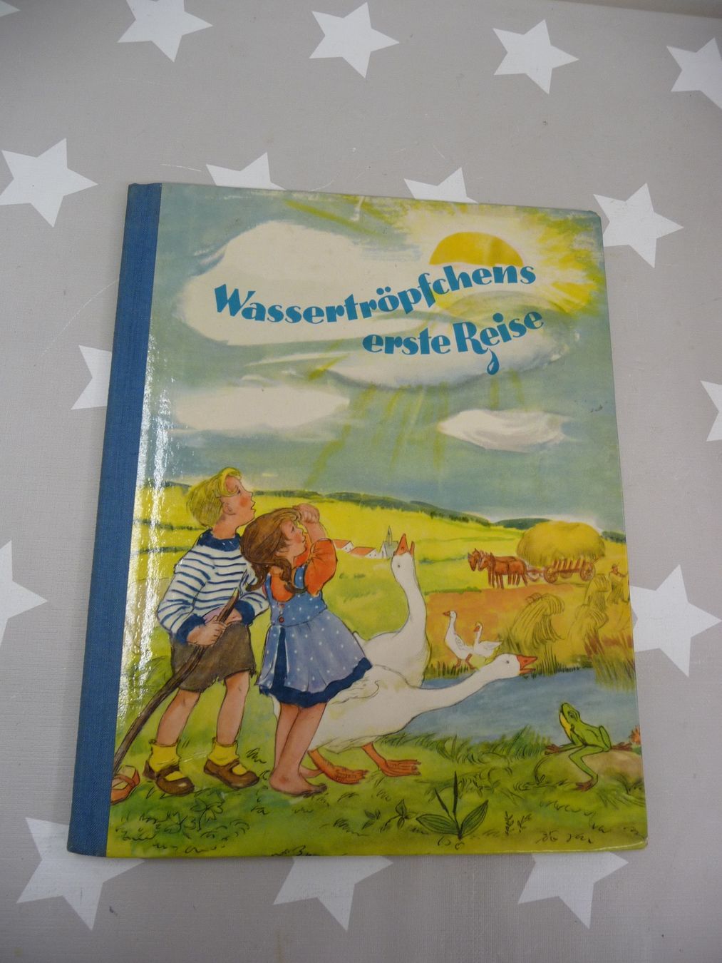 Libri: Buch: Wassertröpfchens erste Reise – Usato da Rafz venduto da Powacaddy